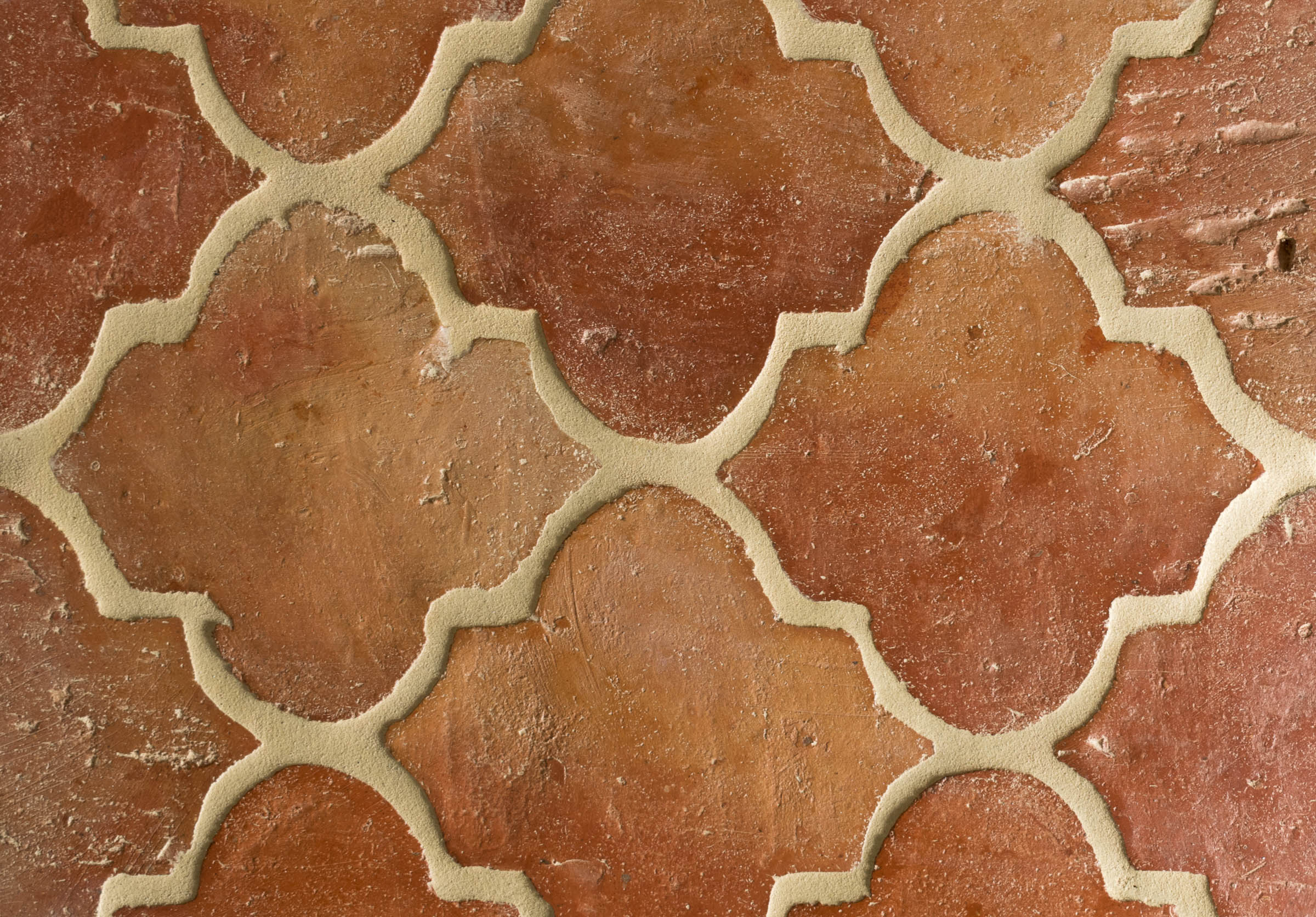 Terracotta Fleur | Floors of Stone